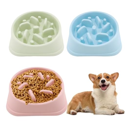 KaTiak 3 ciotole antislittamento per cani, antiscivolo, per cani e gatti di piccole e medie dimensioni