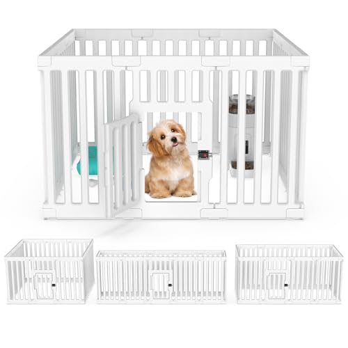 HOVONO vX`bNpvCT[N 12pl 25.6C` g\őϋv̂ybgtFX ^LETMp - |[^uqxr[T[N SȃbNhAt zCg