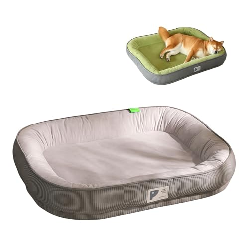 Starshine ybgxbh p xbh NbV Lp \t@[ zc  ʋC ǍD łjȂ tďH~ ʔN I[V[Y OJo[ ~ ΍ h 􂦂  ^ ^  q (L-