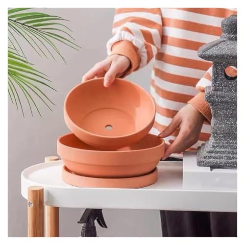 Eviter l'excès d'eau avec le pot succulent plat terre cuite Yofab