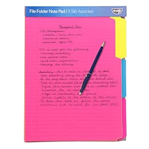 Find It File Folder Notepad – Pack of 12-9.5 x 12.5 Inch Notebook Organizer Folders for Filing, Document, and Clipboard Organization – Assorted Neon Colors