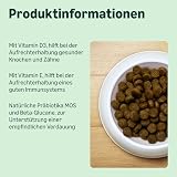 by Amazon Hundefutter für ausgewachsene Hunde (Adult) Kleiner Rassen, Fein zubereitetes Trockenfutter mit Lachs und Reis, 3 kg (1er-Pack)(Zuvor eine Marke von Lifelong, gleiches Produkt)