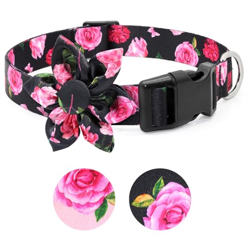 BiPawTi Flower Dog Collar, Soft Small Dog Collar Girl with Floral Patterns Decoration, Cute Collars for Female Dogs Puppy, Summer Dog Collars for Small Dogs Boy Girl Female Male (Black, S) BiPawTi Flower Dog Collar, Soft Small Dog Collar Girl with Floral Patterns Decoration, Cute Collars for Female Dogs Puppy, Summer Dog Collars for Small Dogs Boy Girl Female Male (Black, S)