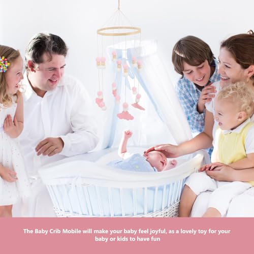 OSOLADY kы؎쐯ۃxr[xbhr[ ̎oBi ݂艺  QT|[g Va