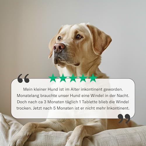 Sensipharm Inconti Stop Hund – bei Inkontinenz & Blasenschwäche Weibchen & Rüde – pflanzliche Unterstützung der Harnwege bei Tröpfeln, Harnverlust & nachlassender Blasenkontrolle – 90 Tabletten