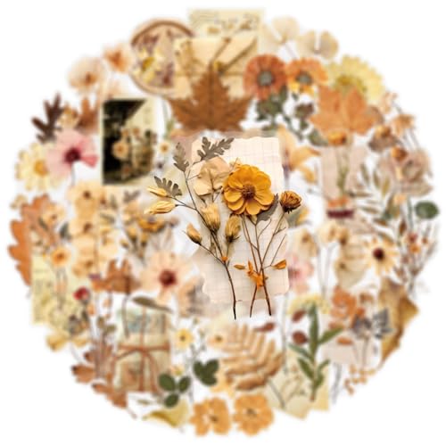 Image of Transparent Flora Scrapbook Stickers Aesthetic Flowers Stickers(Bro) | Transparent & Waterproof Sticker for Scrapbook Journal Water Bottle Kindle, DIY Crafts, Party Supplies