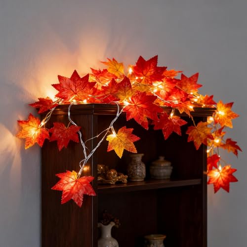 Lumières d'automne 8 modes avec télécommande et minuteur