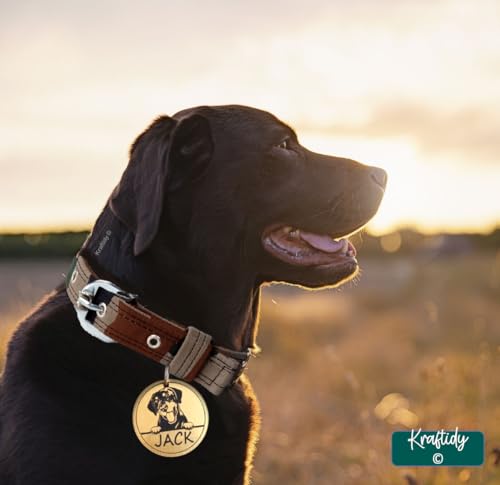 Image of Dog Collar Belt with Name tag id Customized for Small Medium Large Dogs Military Army Print Neck Collar with Personalized Dog Name (with Dog Name) (Large Dogs)