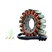 RMSTATOR Replacement for Generator Stator Yamaha YZF R6 / Champions Limited Edition 1999-2002 | OEM Repl.# 5EB-81410-00-00
