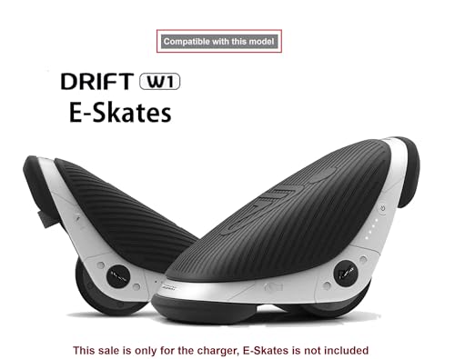 Chargeur e-patins Segway Drift W1 avec indicateur LED de charge complète - 3