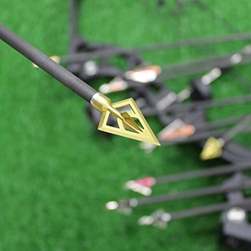 Maifield Broadheads Fixed Blade One-Piece 100/125 Grain. 1Inch Cut Hunting Crossbow Broad Head Archery Arrow Tip 3Pack (Gold,Pack Of 3) #TOP7