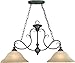 Craftmade 24232-MB Barrett Place Island Chandelier, 2-Light 200 Watts (13"W x 20"H), Mocha Bronze