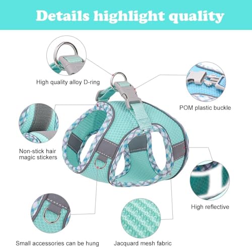 Dog Harness and Leash Set No Pull Adjustable Reflective Pet Harness for Small Medium Dogs Step in Vest Harness Easy Walk Dog Harness Outdoor Hiking Training for Small Dogs Catslightbluexs  Cucciolini Doodles Dog harness and leash set no pull adjustable reflective pet harness for small medium dogs step in vest harness easy walk dog harness outdoor hiking training for small dogs catslightbluexs   cucciolini doodles