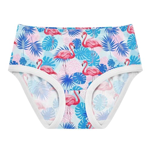 Joisal Vibrant Pink Flamingos Blue Cute Panties Girl Toddlers Underwear Floral Cotton Fancy Undies Kids Briefs 2t