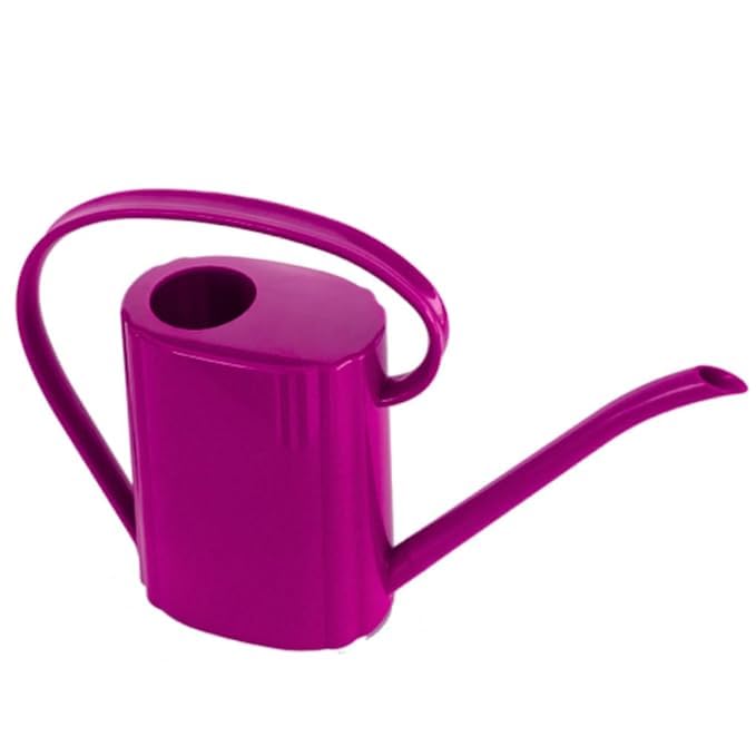 See full amazon price history chart for BKR Harden Plastic Just Like Metal Watering Can Capacity of 2 L (Multicolour) BKR Harden Plastic Just Like Metal Watering Can Capacity of 2 L (Multicolour) (B0D765N5JT) Amazon Price History, Amazon Price Tracker