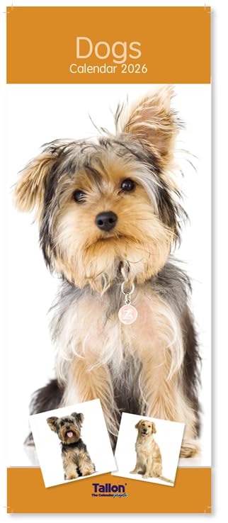 PSO 2026 Super Slim Month to View Spiral Bound Hanging Wall Calendar Home Office (Dogs)