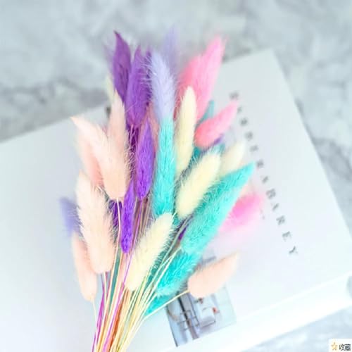Pampas Grass Decor Tall 60Pcs 45cm Flores Secas Naturales miniatura 6