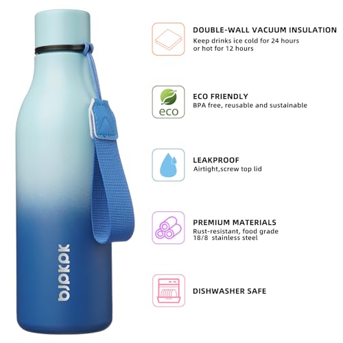 Image of BJPKPK Insulated Water Bottles, 18 oz Stainless Steel Metal Water Bottle with Strap, BPA Free Leak Proof Jugs, Mugs, Flasks, Reusable Thermal Flasks for Sports & Travel, Sky