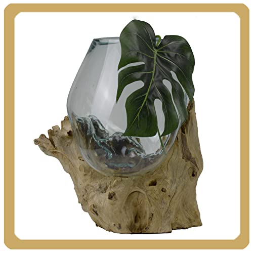 Jarrón de cristal de madera de raíz, jarrón decorativo con raíz de café, jarrón grande