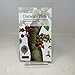 Darwin's Plots: Evolutionary Narrative in Darwin, George Eliot and Nineteenth-Century Fiction