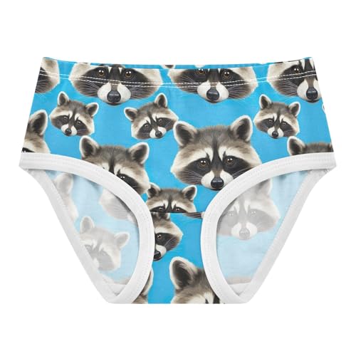 Joisal Cute Raccoon Head Blue Girls Underwear Toddler 2t Cotton Cute Panties Girl Florals Undies Kids Briefs