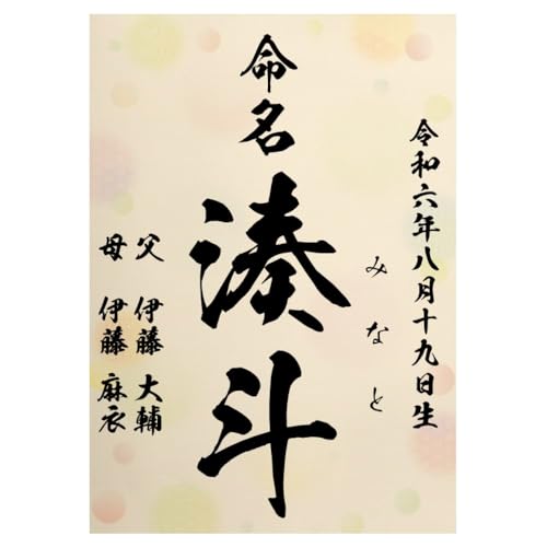  ʕ ѕM Ƃ̑ccɂ AV[gt I[_[  j̎qp ̎qp  A4 ~l[g N   ڏȗ (1)