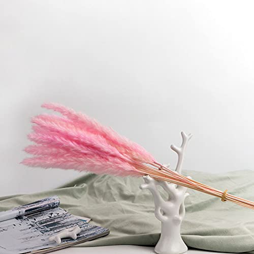 15 peças de pampas seca natural, conjunto de flores, buquê de casamento, decoração de casa, sala de