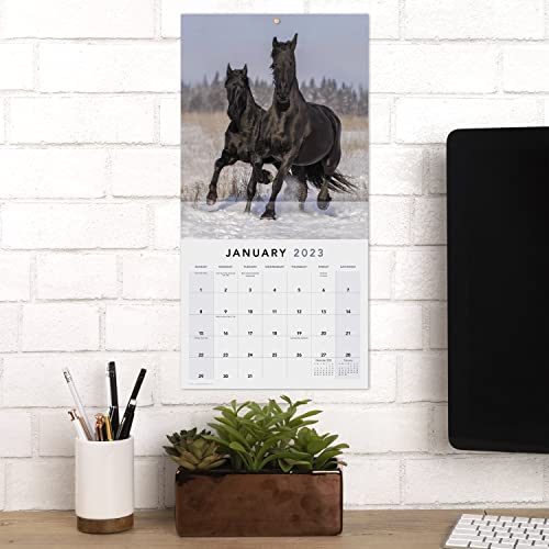 2023 Horses Monthly Wall Calendar, 16 Months, 12" X 12" (Lme1591023) #TOP1