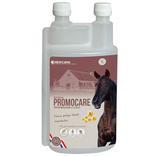 Vitamines pour chevaux au complexe B et E pour la récupération après l'effort - 2