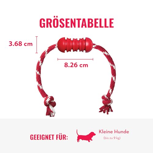 KONG Dental mit Seil - Für die Zahnpflege von Hunden - Befüllbares Kauspielzeug - Reinigt Zähne und Zahnfleisch - Für Kleine Hunde