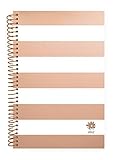 Bloom Daily Planners 2017 Calendar Year Daily Planner - Passion/Goal Organizer - Monthly Weekly Agenda Datebook Diary - January 2017 to December 2017 - 6