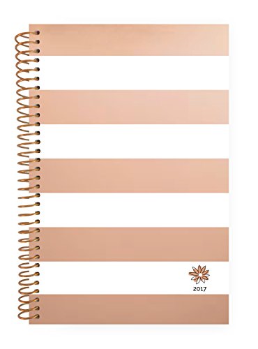 Bloom Daily Planners 2017 Daily Planner, 8.25 x 4-Inches, Rose Gold Stripes,
