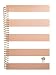 Bloom Daily Planners 2017 Daily Planner, 8.25 x 4-Inches, Rose Gold Stripes,