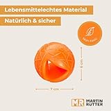 Martin Rütter Hundeball „Moby“ Blau – Hundespielzeug aus 100% Naturmaterial, springt unvorhersehbar und fördert Spiel, Bewegung & Auslastung