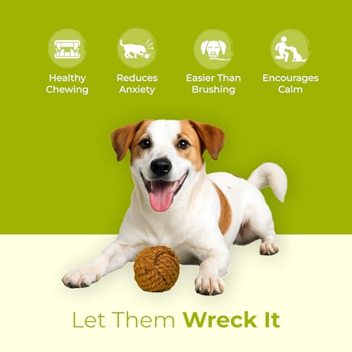 Image of The Orb | Natural Chew Ball Toy for Dogs | Made with Coconut Coir Core | Engaging & Long-Lasting Play | 100% Plastic-Free & Biodegradable | Non-Toxic | Pack of 3