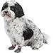 TRIXIE 19503 Hundesocken, Anti-Rutsch, M–L, 2 St., grau, 4011905195032, medium-large