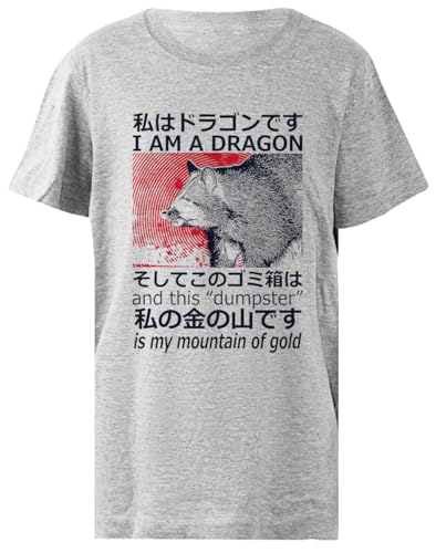 T-shirt dragon raccoon japonais enfant fini les vêtements inconfortables