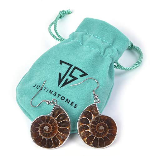 Justinstones Natural Ammonite Fossil Earrings3