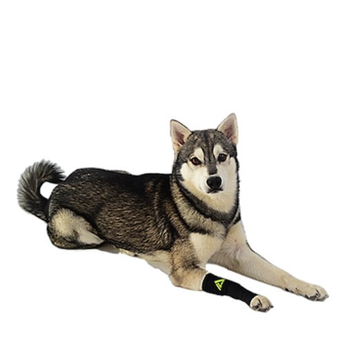Canine Dogs Compression Sleeve Injury Support Fatigue, Joint, Tendon and Ligament laxity (Instability)