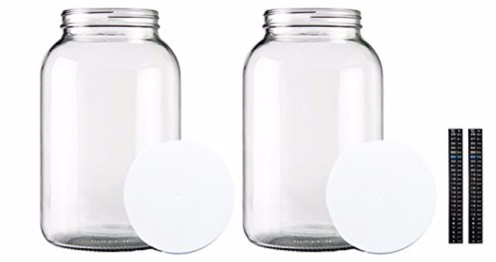 Home Brew Ohio One Gallon Wide Mouth Jar with Lid and Dual Scale Thermometer-Set of 2