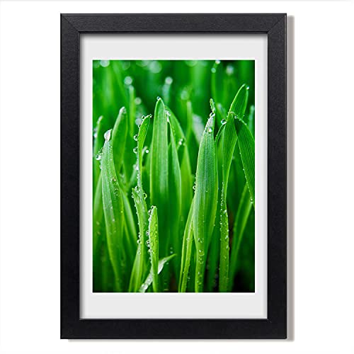 Cadre en bois 20x30 cm parfait dans un salon nature pour valoriser une affiche d'herbe