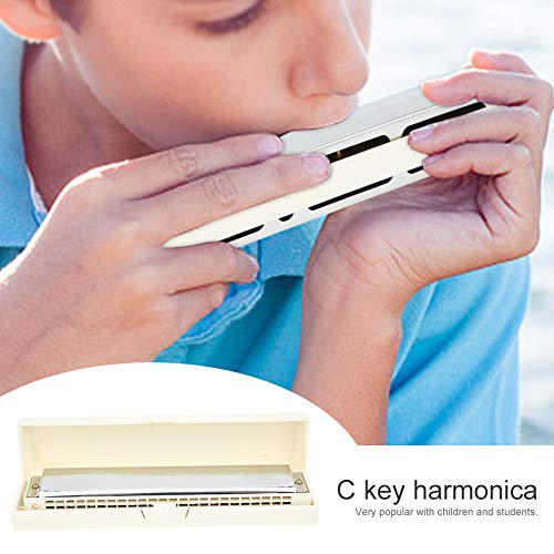HOLPPO Orgue À Bouche Professionnel,Harmonica Étanche À Vis en Acier Inoxydable,Plaque Couverture en Acier Inoxydable… - Les Beatles, Paul McCartney, John Lennon, RIngo Starr, George Harrison HOLPPO Orgue À Bouche Professionnel,Harmonica Étanche À Vis en Acier Inoxydable,Plaque Couverture en Acier Inoxydable… – Image 3