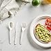 Elegant Disposables 100% Compostable PLA Spoons Bulk Pack 400 Pcs Biodegradable Disposable Plastic Cutlery Utensils 3
