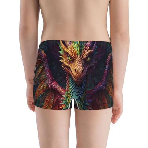 Boys' Cotton Boxer Brief Soft Underwear-Whimsical Dragon Color Cool3