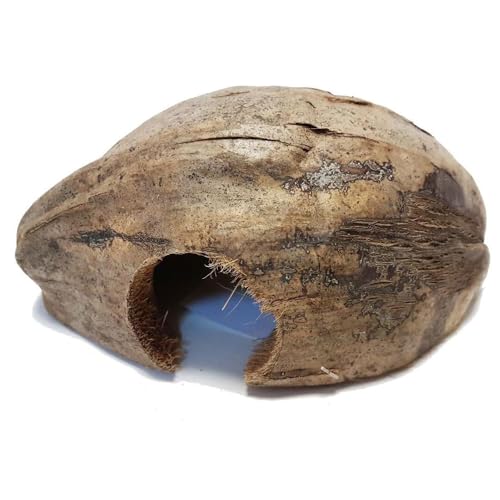 Reptiles Planet Coco CASA - Escondite Natural de Coco para pequeños Animales