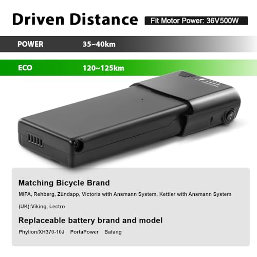 E-Bike Li-ion Batterie 36V 10,4Ah für MiFa, Zündapp, Ansmann Gepäckträgerbatterie (36V Batterie mit Ladegerät)