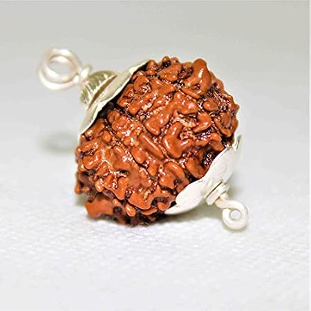 4 Mukhi (Four Faced) Rudraksha Bead - Natural Brown Nepali Rudraksh With Certification - View #2
