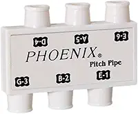 Phoenix Diapasão Afinador Musical, 6 Notas, para Sopro e Violão, Branco