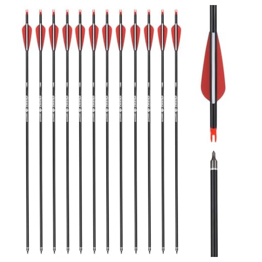 ELONG OUTDOOR 12 Stück Pfeile für Bogenschießen 30 Zoll Carbonpfeile Bogenpfeile mit Kunststoffbefiederung für Recurvebogen, Langbogen und traditionellen Bogen
