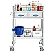 VEVOR Lab Serving Cart Utility Cart Stainless Steel Medical Cart with Two Drawers for lab Equipment Use Grade I Stainless Steel Utility Services (2 Shelves/ 2 Drawer)